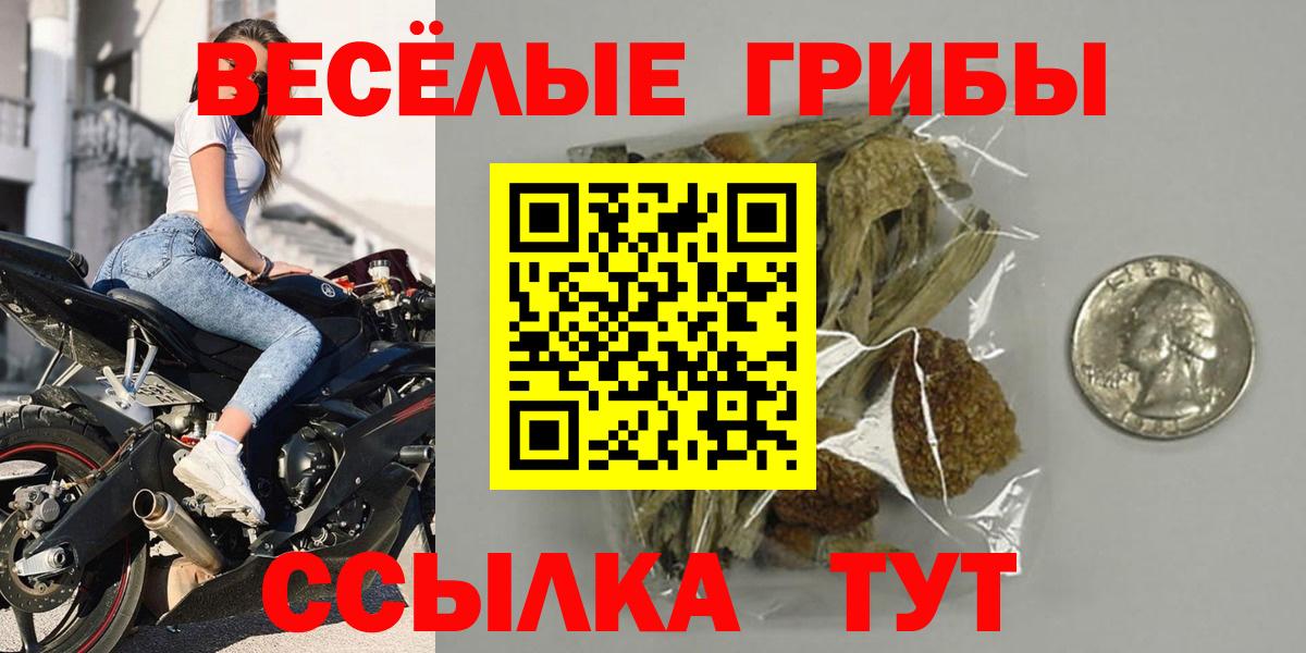 Псилоцибиновые грибы Psilocybine cubensis Армавир