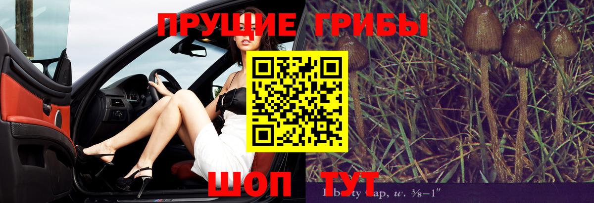 Армавир  где продают наркотики  Вход с VPN  Псилоцибиновые грибы Magic Shrooms 